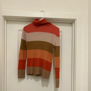 Striped Multicolor Turtleneck Sweater